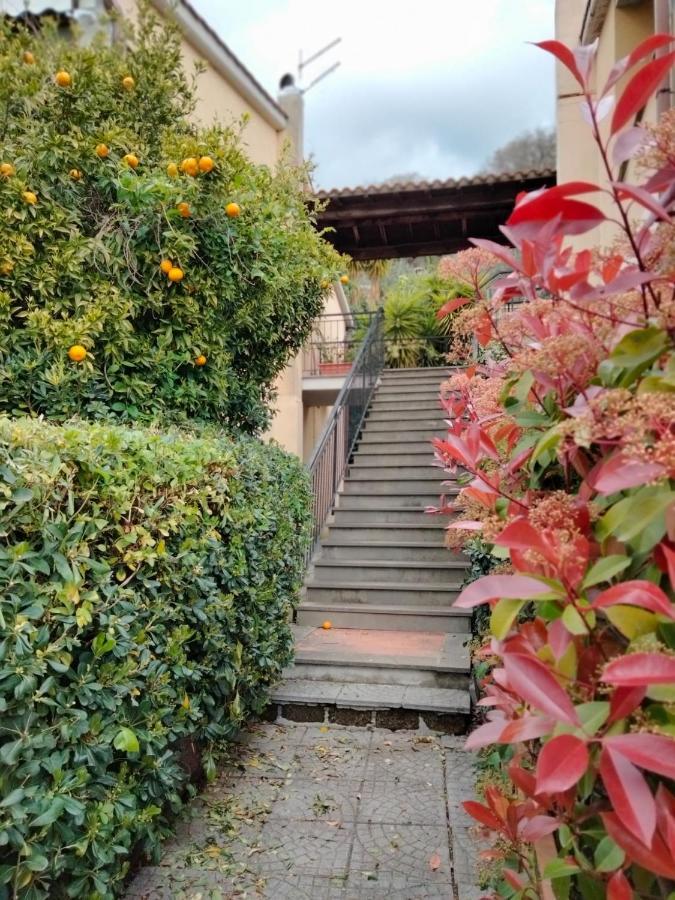 Apartmán Sguardo Sul Lago Trevignano Romano Exteriér fotografie