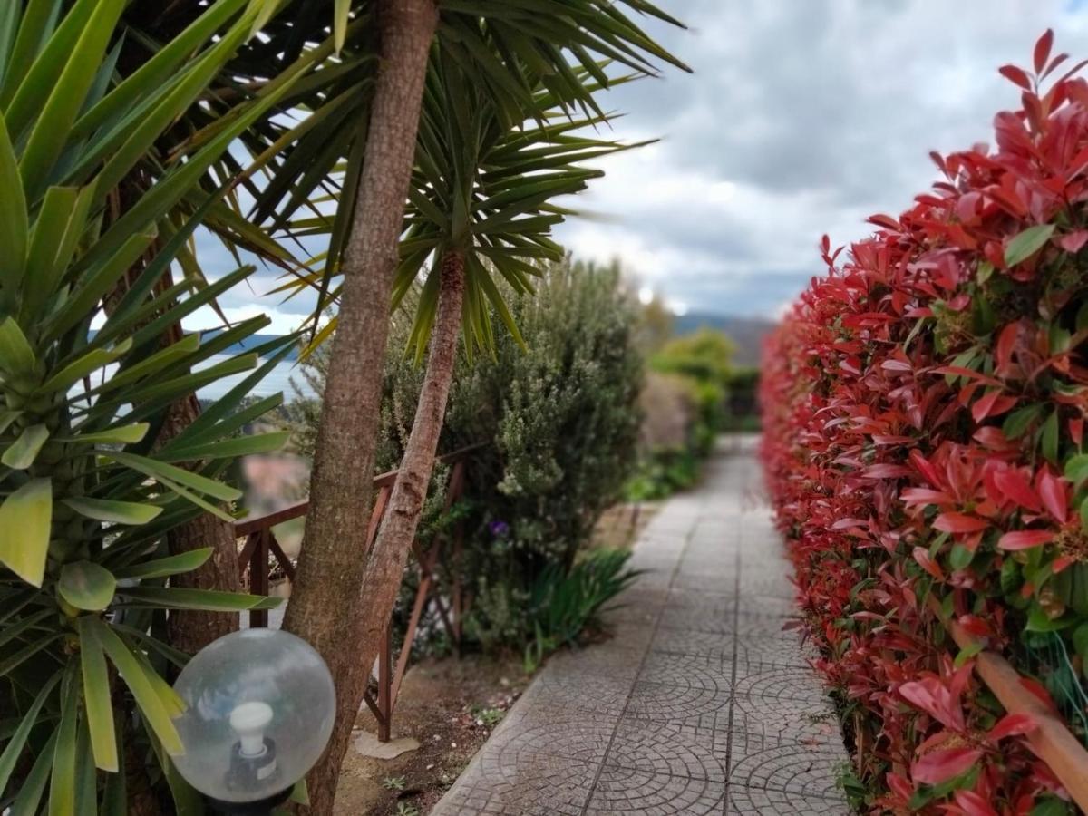 Sguardo Sul Lago Trevignano Romano Exteriér fotografie