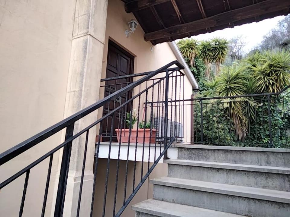 Sguardo Sul Lago Trevignano Romano Exteriér fotografie